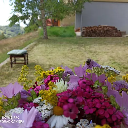 Casa de Férias Vikendica Kop