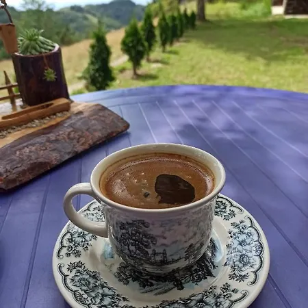 Casa de Férias Vikendica Kop