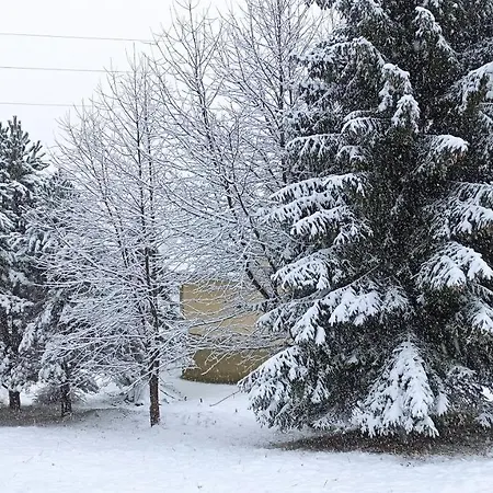 Vikendica Kop * Kopaonik