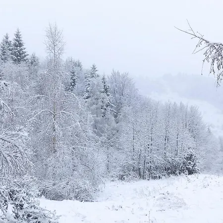 Holiday home Vikendica Kop Kopaonik
