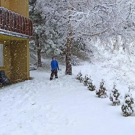 בית נופש Vikendica Kop קופאוניק