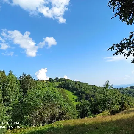 Vikendica Kop * Kopaonik