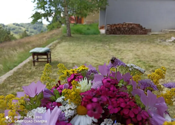 펜션 Vikendica Kop