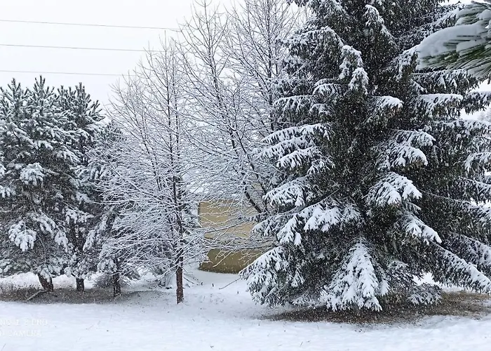 Vikendica Kop * 카파오닉