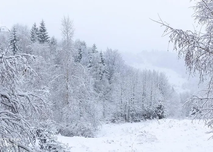 펜션 Vikendica Kop 카파오닉