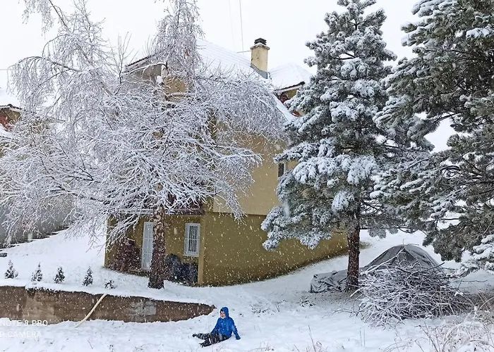 Vikendica Kop 펜션