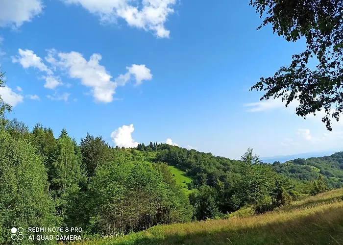Vikendica Kop * Kopaonik