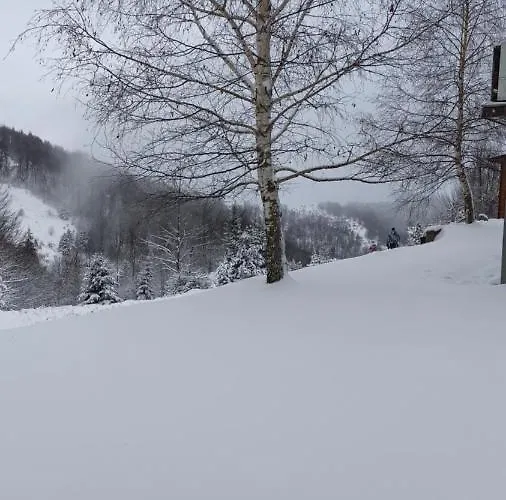 Vikendica Kop 펜션 *